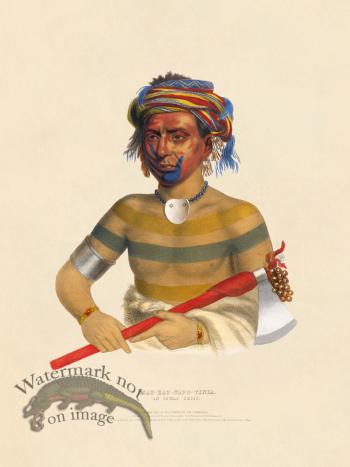 Shau-hau-napo-tinia Ioway